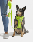 Durable Pet Leash – Comfortable & Secure Walking Lead