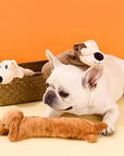 Durable Plush Squeaky Dog Chew Toy – Bite-Resistant Fun