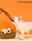 Durable Plush Squeaky Dog Chew Toy – Bite-Resistant Fun
