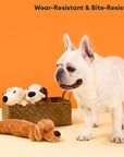 Durable Plush Squeaky Dog Chew Toy – Bite-Resistant Fun
