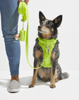 Poop Bag Carrier - Pawhearth