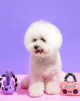 Rockstar Plush Guitar & Boombox Dog Toy – Chew & Play