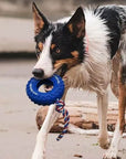Rubber Tire Dog Toy – Durable Interactive Chewing & Teething