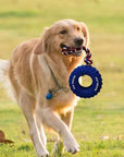 Rubber Tire Dog Toy – Durable Interactive Chewing & Teething
