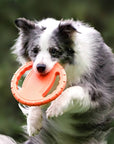 Rubber Steering Wheel Dog Flying Disc – Durable & Fun Interactive Toy