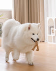 Bacon Dog Chew Bone Toy – Tasty & Durable Chew Toy for Dogs