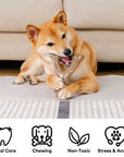 Bacon Dog Chew Bone Toy – Tasty & Durable Chew Toy for Dogs