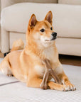 Bacon Dog Chew Bone Toy – Tasty & Durable Chew Toy for Dogs
