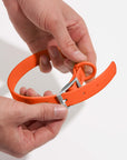 Adjustable Pet Collar – Durable & Comfortable for Dogs & Cats