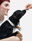 Adjustable Pet Collar – Durable & Comfortable for Dogs & Cats