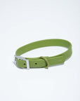 Adjustable Pet Collar – Durable & Comfortable for Dogs & Cats