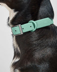 Adjustable Pet Collar – Durable & Comfortable for Dogs & Cats