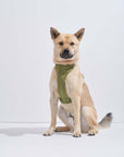 Adjustable Pet Harness – Comfortable & Secure for Dogs & Cats