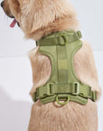 Adjustable Pet Harness – Comfortable & Secure for Dogs & Cats