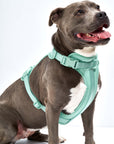 Adjustable Pet Harness – Comfortable & Secure for Dogs & Cats