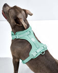 Adjustable Pet Harness – Comfortable & Secure for Dogs & Cats