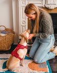 Adjustable Pet Harness – Comfortable & Secure for Dogs & Cats