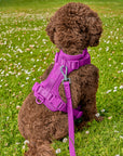 Adjustable Pet Harness – Comfortable & Secure for Dogs & Cats