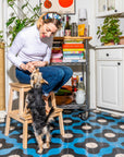 Adjustable Pet Harness – Comfortable & Secure for Dogs & Cats