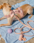 Adjustable Pet Harness – Comfortable & Secure for Dogs & Cats