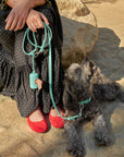 Poop Bag Carrier – Portable Dog Waste Bag Holder