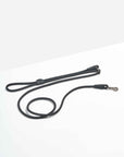 Hands-Free Collar Walk Kit - Pawhearth