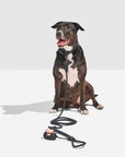 Hands-Free Collar Walk Kit - Pawhearth