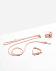 Hands-Free Collar Walk Kit - Pawhearth