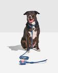 Hands-Free Collar Walk Kit - Pawhearth