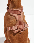 Adjustable Pet Harness – Comfortable & Secure for Dogs & Cats