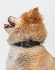 Adjustable Pet Collar – Durable & Comfortable for Dogs & Cats