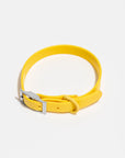 Adjustable Pet Collar – Durable & Comfortable for Dogs & Cats