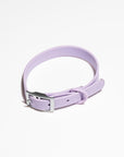 Adjustable Pet Collar – Durable & Comfortable for Dogs & Cats