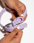 Adjustable Pet Collar – Durable & Comfortable for Dogs & Cats