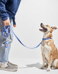 Adjustable Pet Collar – Durable & Comfortable for Dogs & Cats