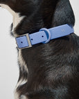 Adjustable Pet Collar – Durable & Comfortable for Dogs & Cats