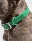 Adjustable Pet Collar – Durable & Comfortable for Dogs & Cats