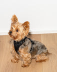Adjustable Pet Harness – Comfortable & Secure for Dogs & Cats
