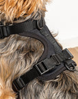 Adjustable Pet Harness – Comfortable & Secure for Dogs & Cats