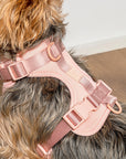 Adjustable Pet Harness – Comfortable & Secure for Dogs & Cats