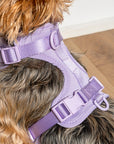 Adjustable Pet Harness – Comfortable & Secure for Dogs & Cats
