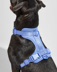 Adjustable Pet Harness – Comfortable & Secure for Dogs & Cats