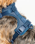 Adjustable Pet Harness – Comfortable & Secure for Dogs & Cats