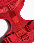 Adjustable Pet Harness – Comfortable & Secure for Dogs & Cats