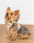 Adjustable Pet Harness – Comfortable & Secure for Dogs & Cats