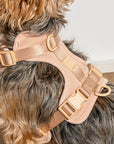 Adjustable Pet Harness – Comfortable & Secure for Dogs & Cats