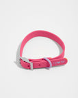 Adjustable Pet Collar – Durable & Comfortable for Dogs & Cats