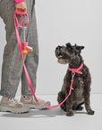 Adjustable Pet Collar – Durable & Comfortable for Dogs & Cats