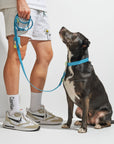 Adjustable Pet Collar – Durable & Comfortable for Dogs & Cats