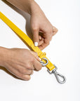 Durable Pet Leash – Comfortable & Secure Walking Lead